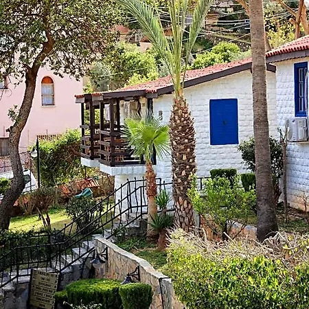 La Marina Alanya ماهموتلار